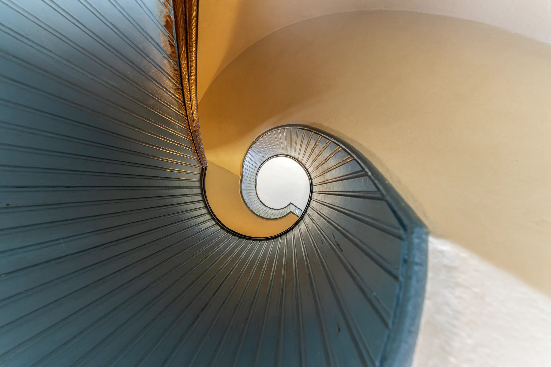 Nautilus — fine art print by Tosh Persons