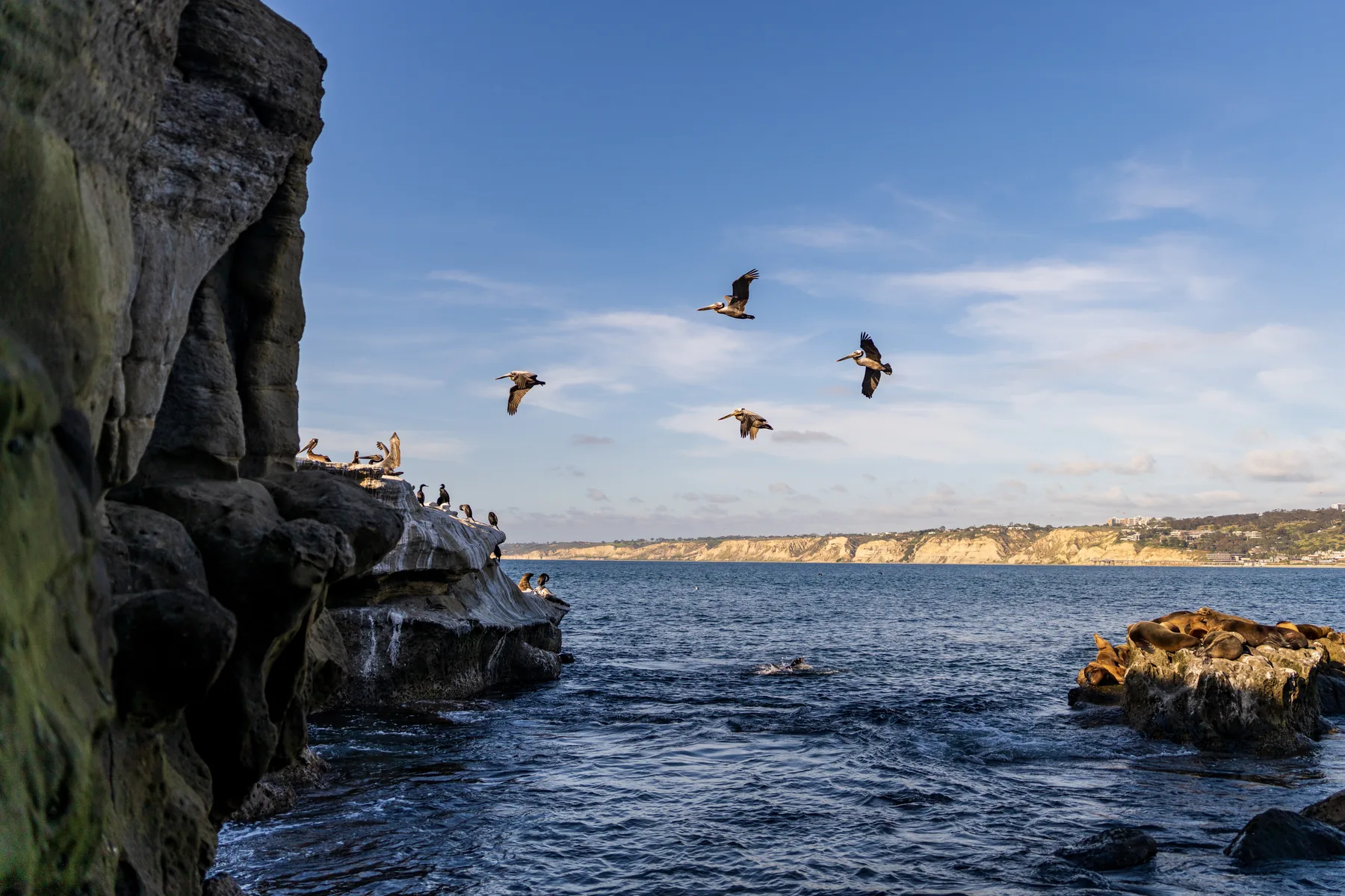 The Cove — fine art print by Tosh Persons